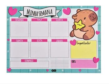 BLOCO ORGANIZADOR CAPIVARA