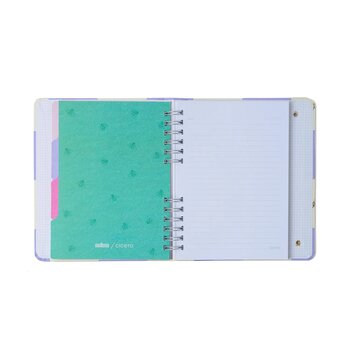 CADERNO ORGANIZADOR MELISSA PAUTADO & PONTADO A5 CASA DAS ABELHAS LILAS