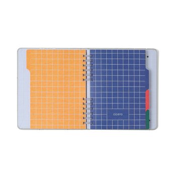 CADERNO ORGANIZADOR LAGOA PAUTADO & PONTADO A5 PEDALINHO