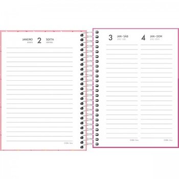AGENDA ESP SPICE FEM M3