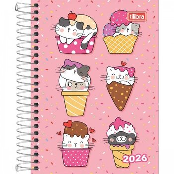 AGENDA ESP SPICE FEM M3